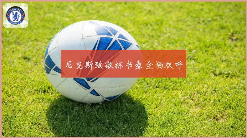 尼克斯致敬林书豪全场欢呼