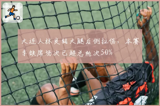 大连人林良铭大腿后侧拉伤，本赛季缺席场次已超总轮次50%